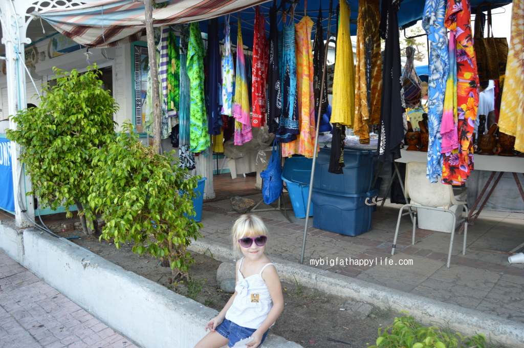 What not to do in St. Maarten St. Martin and what to do | mybigfathappylife.com