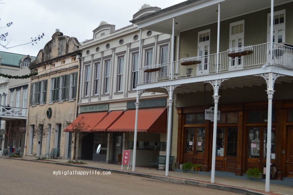 A Day in Natchez #mississippi #natchez #daytrip #travel | mybigfathappylife.com