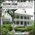 Discovering Louisiana: Rosedown Plantation in St. Francisville, Louisiana | mybigfathappylife.com