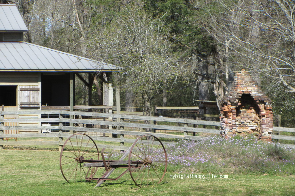 8 Reasons to Attend the Audubon Pilgrimage in St. Francisville, Louisiana | mybigfathappylife.com