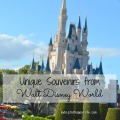 Unique Souvenirs from Walt Disney World; Magic Kingdom, Epcot, Animal Kingdom, and Hollywood Studios | mybigfathappylife.com