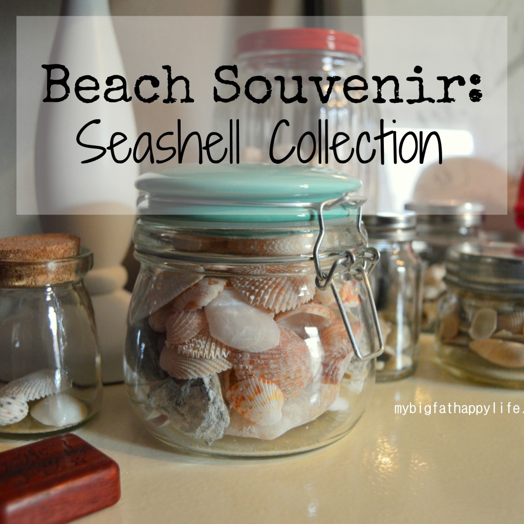 Beach Souvenir: Seashell Collections | mybigfathappylife.com