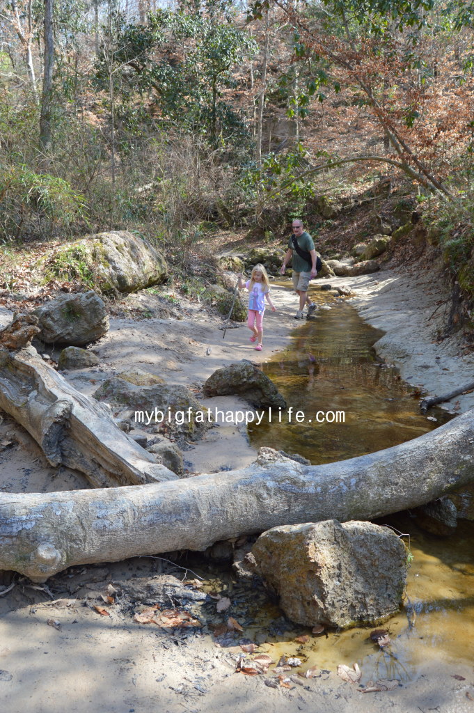 Hiking with a Child | mybigfathappylife.com