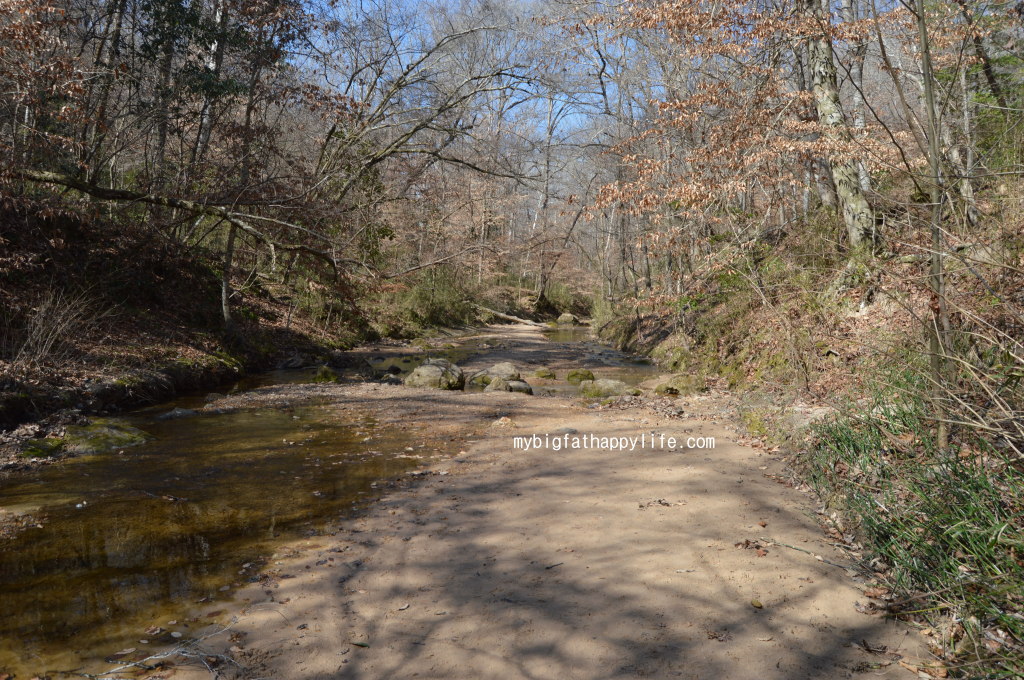 Hiking with a Child | mybigfathappylife.com