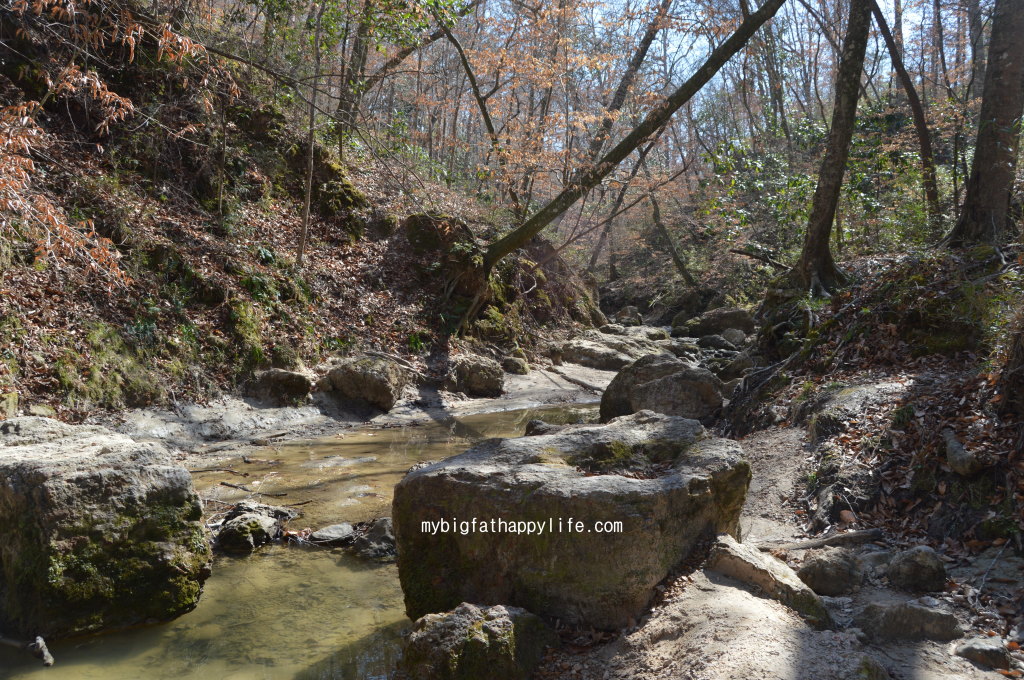 Hiking with a Child | mybigfathappylife.com