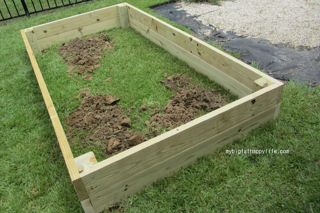 How to Make a Raised Garden Bed | mybigfathappylife.com