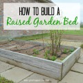 How to Build a Raised Garden Bed | mybigfathappylife.com