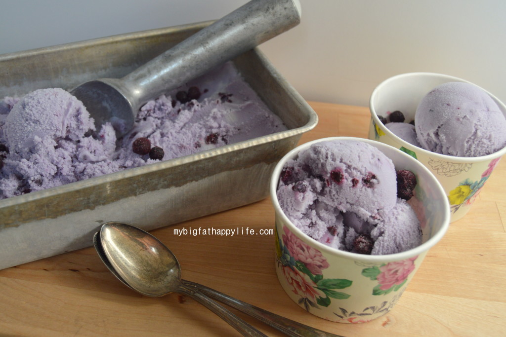 Wild Blueberry Ice Cream | mybigfathappylife.com