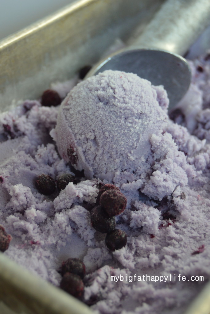Wild Blueberry Ice Cream | mybigfathappylife.com