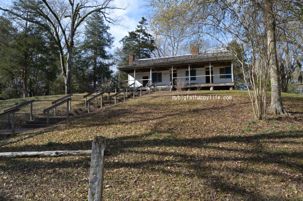 Natchez Trace Parkway in Mississippi; first 30 miles from Natchez including Windsor Ruins, Emerald Mound and Mount Locust | mybigfathappylife.com