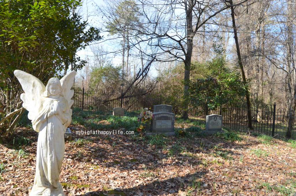 Natchez Trace Parkway in Mississippi; first 30 miles from Natchez including Windsor Ruins, Emerald Mound and Mount Locust | mybigfathappylife.com