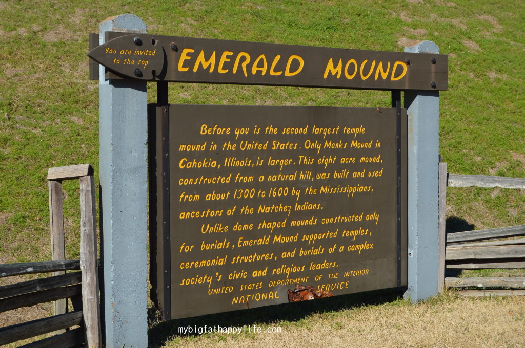 Natchez Trace Parkway in Mississippi; first 30 miles from Natchez including Windsor Ruins, Emerald Mound and Mount Locust | mybigfathappylife.com