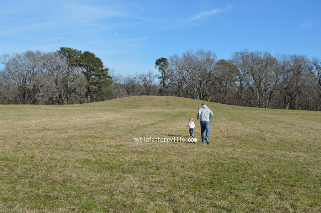 Natchez Trace Parkway in Mississippi; first 30 miles from Natchez including Windsor Ruins, Emerald Mound and Mount Locust | mybigfathappylife.com