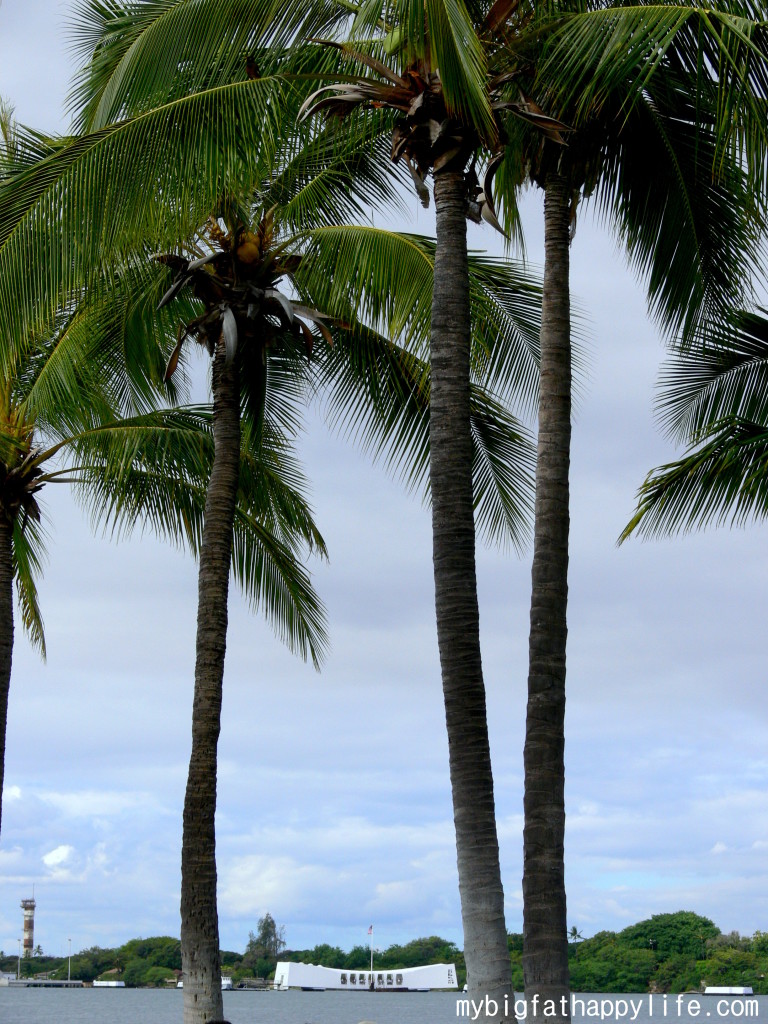 Oahu Hawaii Bucket List; the must do on the island of Oahu; things to do on Oahu #oahubucketlist | mybigfathappylife.com