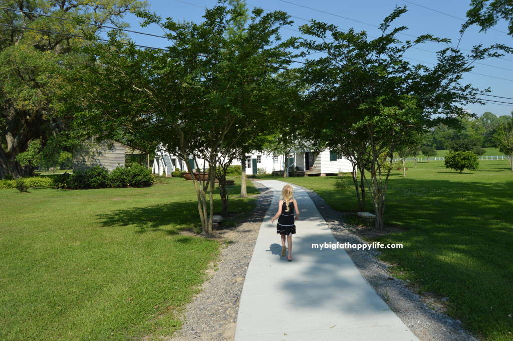 Learn About Sugar Cane at St. Joseph Plantation in Vacherie, Louisiana | mybigfathappylife.com