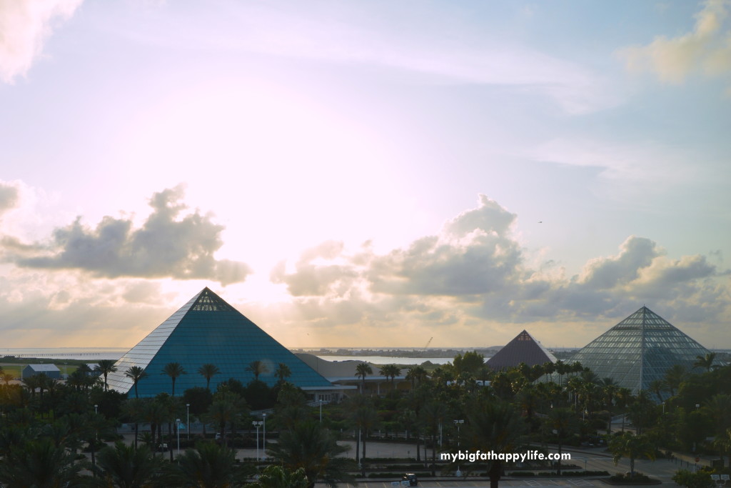 Tips for Having a Great Time at Moody Gardens in Galveston, Texas | mybigfathappylife.com