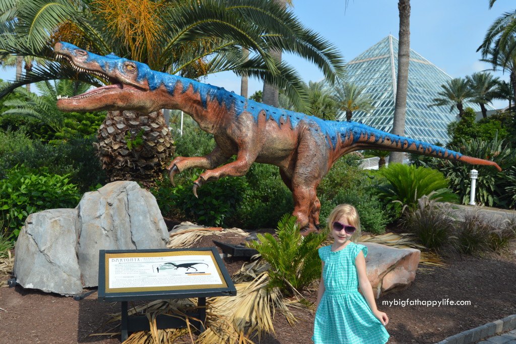 Tips for Having a Great Time at Moody Gardens in Galveston, Texas | mybigfathappylife.com