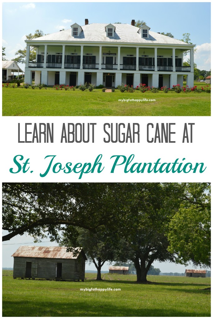 Learn About Sugar Cane at St. Joseph Plantation in Vacherie, Louisiana | mybigfathappylife.com