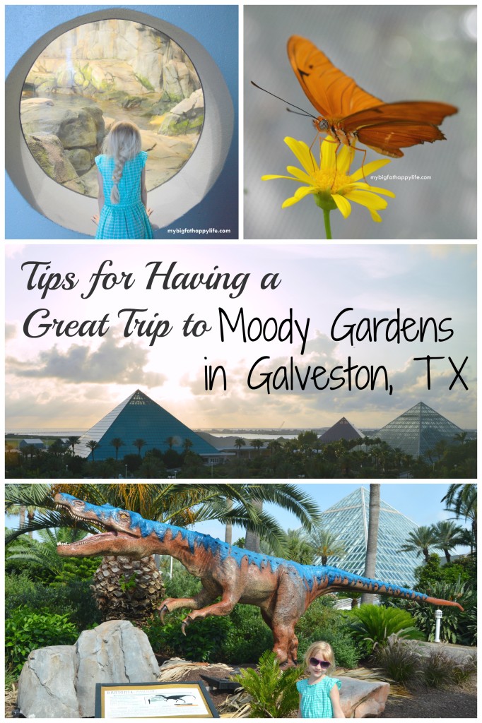 Tips for Having a Great Time at Moody Gardens in Galveston, Texas | mybigfathappylife.com