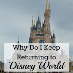 Why Do I Keep Returning to Walt Disney World; Magic Kingdom, Epcot, Hollywood Studios and Animal Kingdom | mybigfathappylife.com