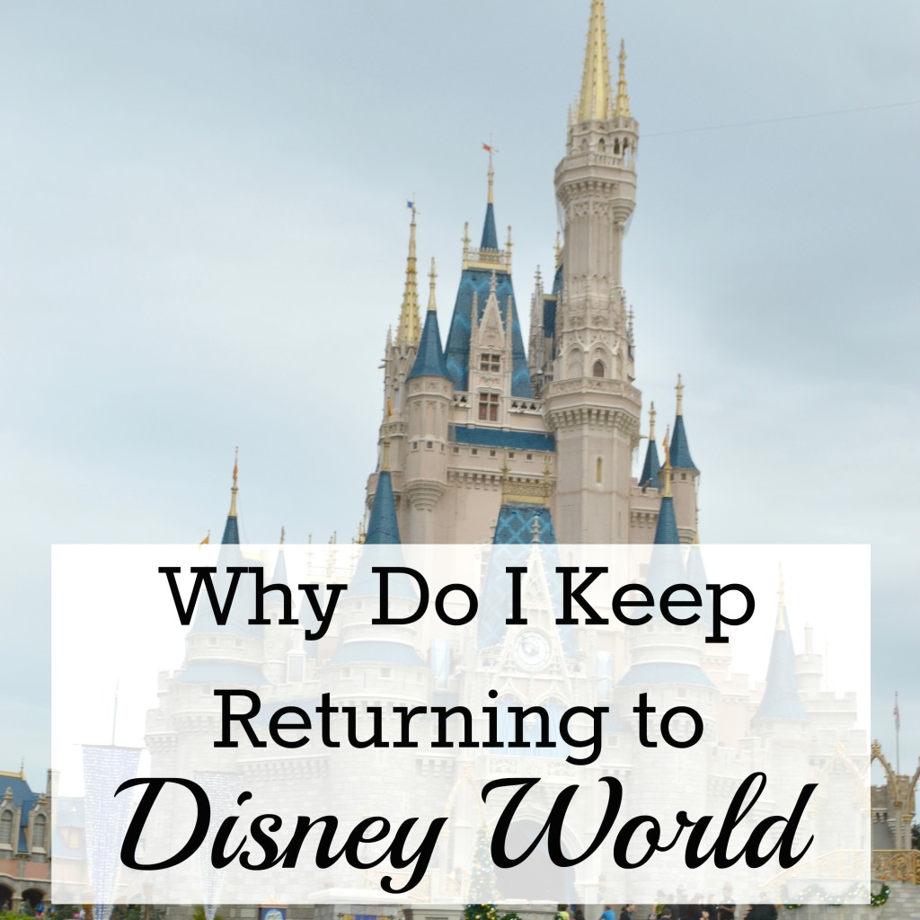 Why Do I Keep Returning to Walt Disney World; Magic Kingdom, Epcot, Hollywood Studios and Animal Kingdom | mybigfathappylife.com