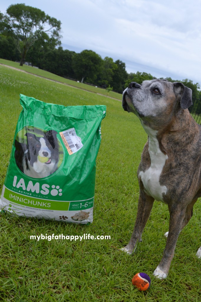 IAMS Dog Food3
