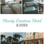 Moody Garden Hotel - An Overview; Galveston, Texas | mybigfathappylife.com