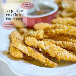 Crispy-Baked-BBQ-Chicken-Breast-Strips-5_thumb