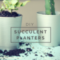 DIY Succulent Planters, perfect for inside your house on the kitchen windowsill | mybigfathappylife.com