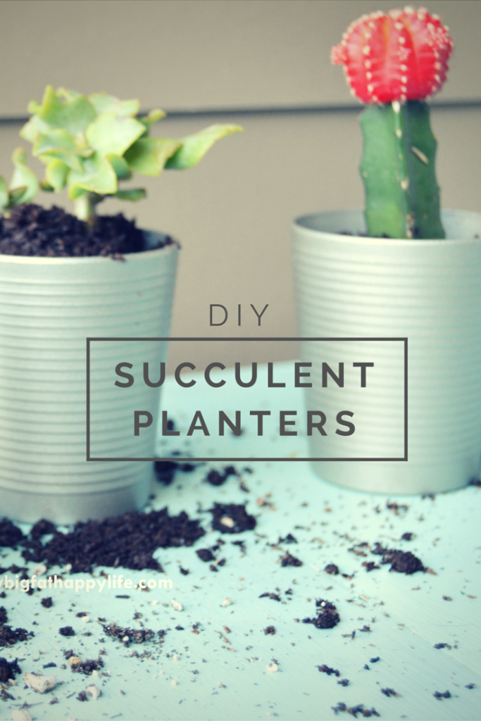 DIY Succulent Planters, perfect for inside your house on the kitchen windowsill | mybigfathappylife.com