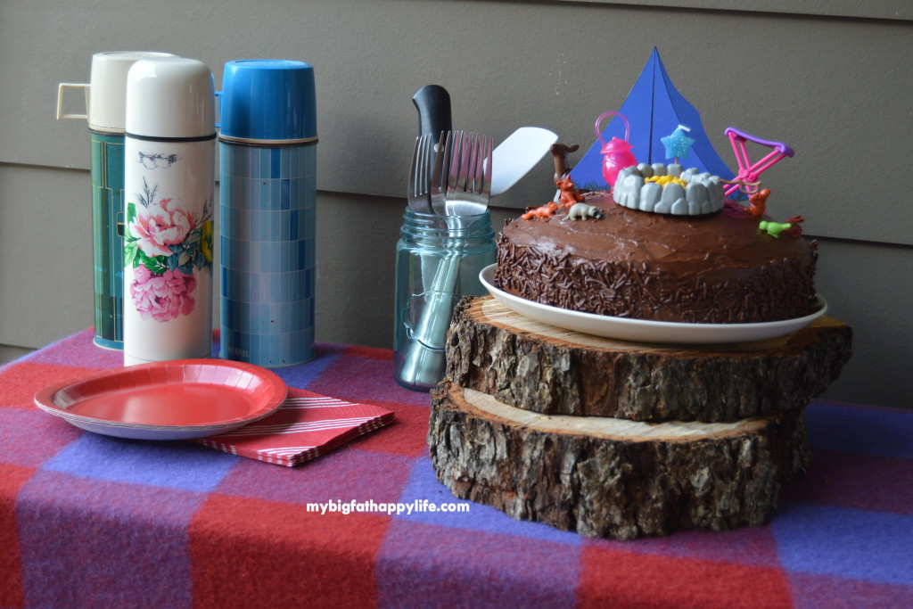 Camping Themed Birthday Party; kids birthday party | mybigfathappylife.com