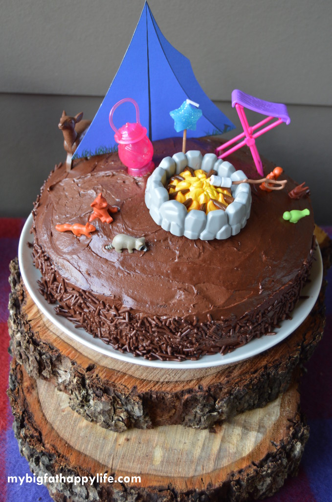 Camping Themed Birthday Party; kids birthday party | mybigfathappylife.com