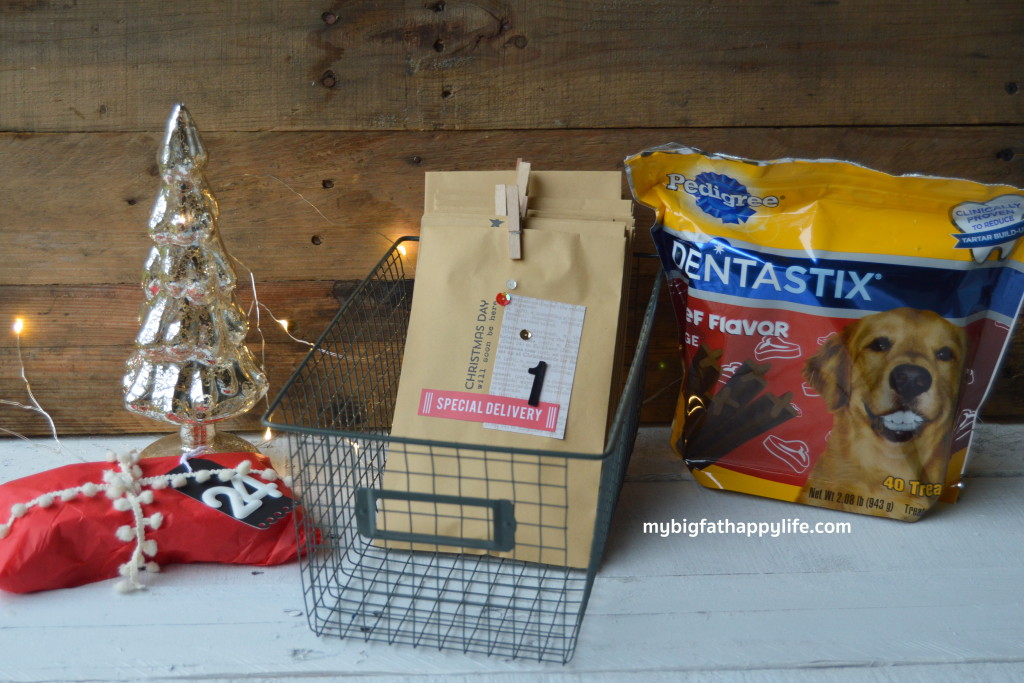 DIY Advent Calendar for Dogs | mybigfathappylife.com