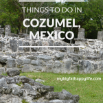 Things to do in Cozumel, Mexico - San Gervasio Mayan Ruins, The Mayan Cacao Company and Discover Mexico | mybigfathappylife.com