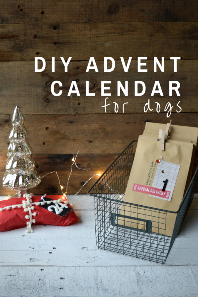 DIY Advent Calendar for Dogs | mybigfathappylife.com