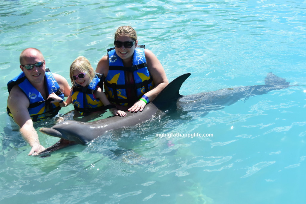 Dolphins and Turtles in Grand Cayman | mybigfathappylife.com