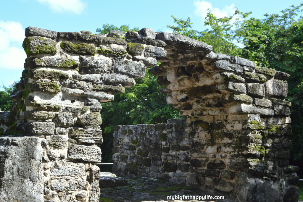 Things to do in Cozumel, Mexico - San Gervasio Mayan Ruins, The Mayan Cacao Company and Discover Mexico | mybigfathappylife.com