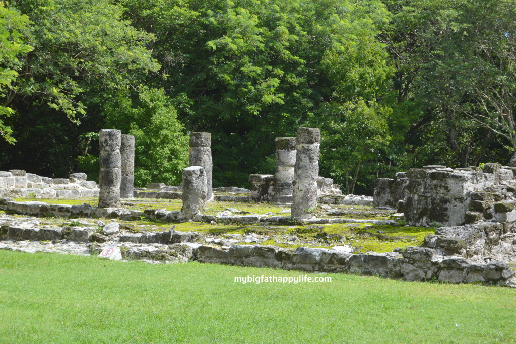 Things to do in Cozumel, Mexico - San Gervasio Mayan Ruins, The Mayan Cacao Company and Discover Mexico | mybigfathappylife.com