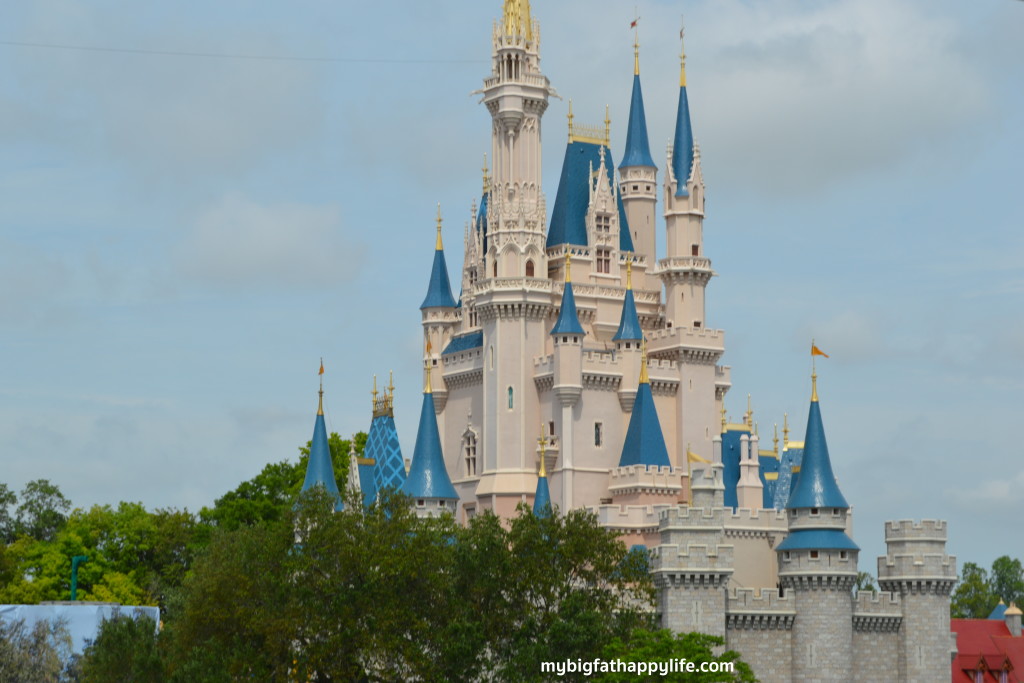 Disney World Travel Bucket List for 2016 | mybigfathappylife.com