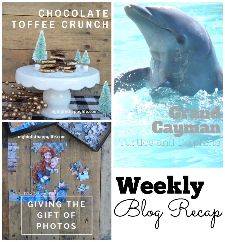 Weekly blog recap 12.12.15