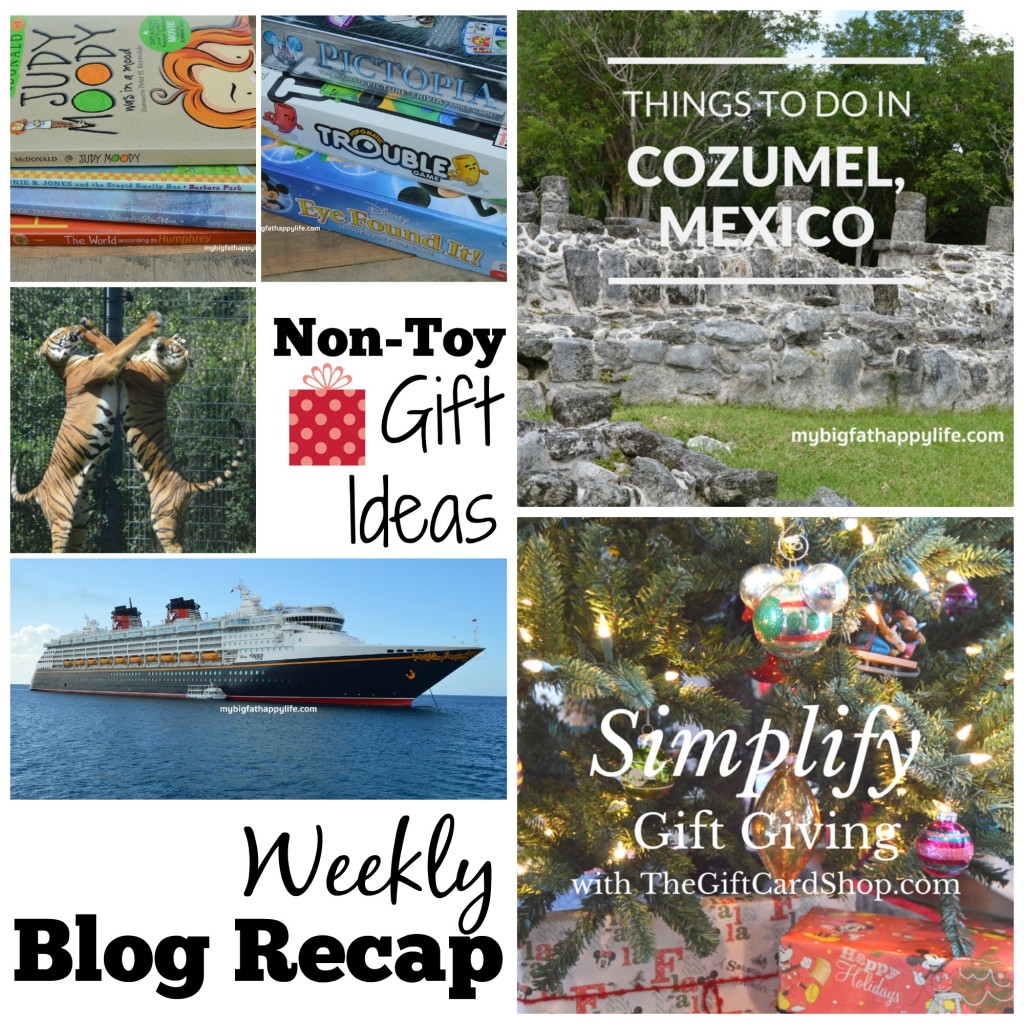 blog recap 12.4