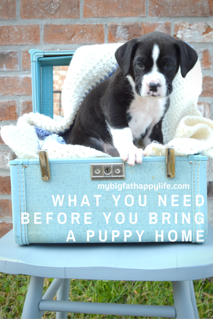 What You Need Before You Bring a Puppy Home | mybigfathappylife.com