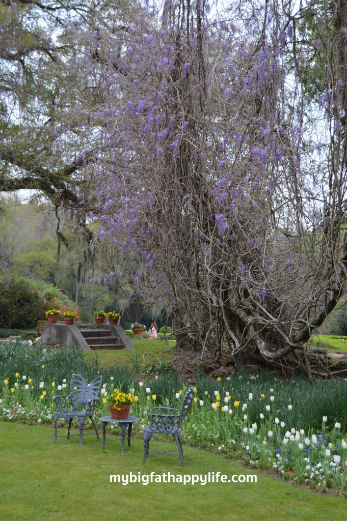 8 Reasons You Should Attend the Audubon Pilgrimage in St. Francisville, Louisiana | mybigfathappylife.com