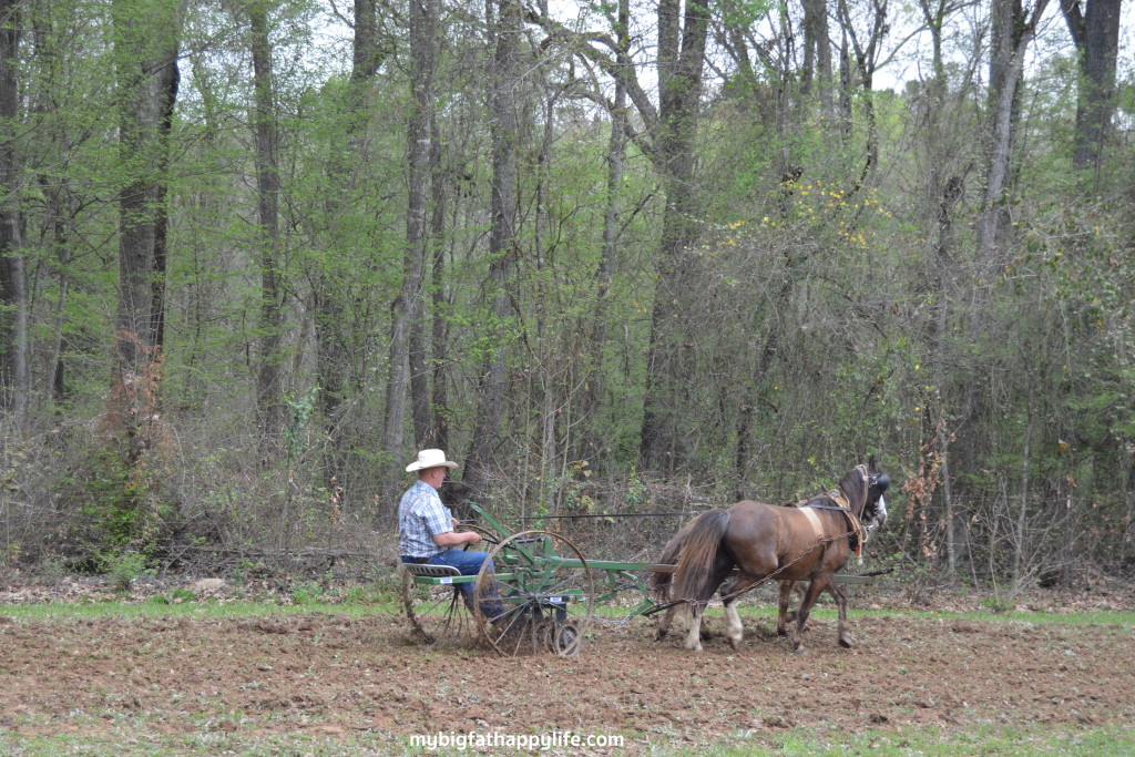 8 Reasons You Should Attend the Audubon Pilgrimage in St. Francisville, Louisiana | mybigfathappylife.com