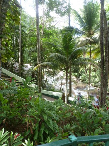 Bobsled Jamaica and Dunn's River Falls Excursion | mybigfathappylife.com