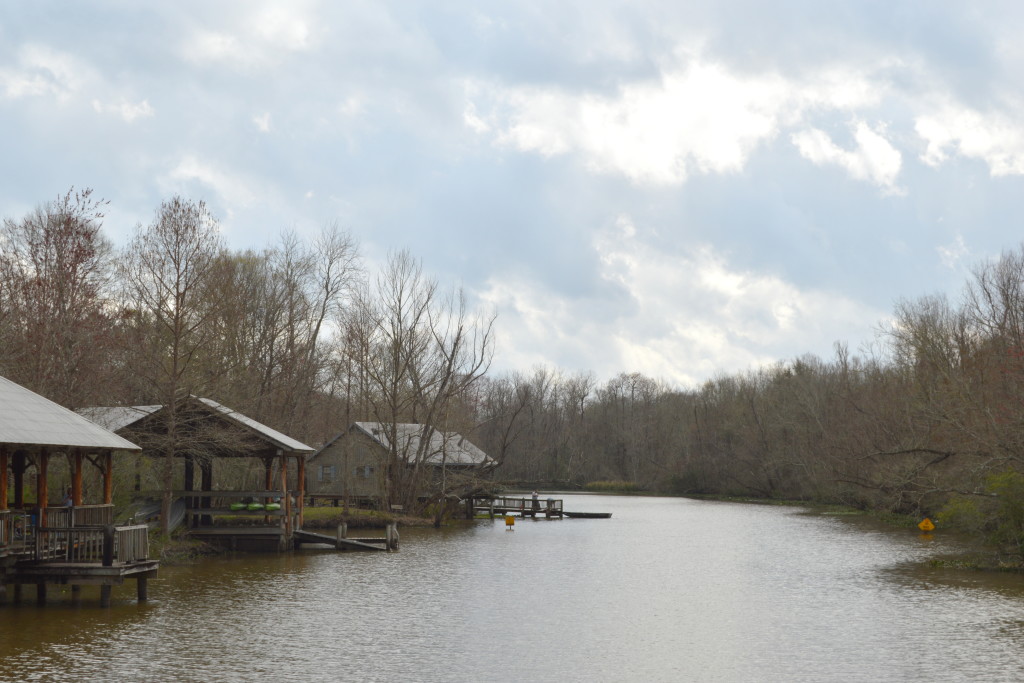 Lake Fausse Point State Park in Louisiana | mybigfathappylife.com