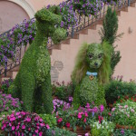 What is New for the 2019 Epcot International Flower and Garden Festival