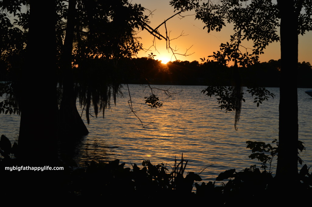 Louisiana Campground Reviews, camping, rving | mybigfathappylife.com