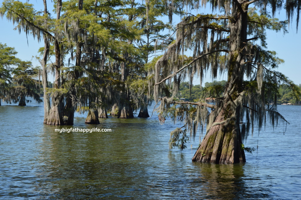 Louisiana Campground Reviews, camping, rving | mybigfathappylife.com