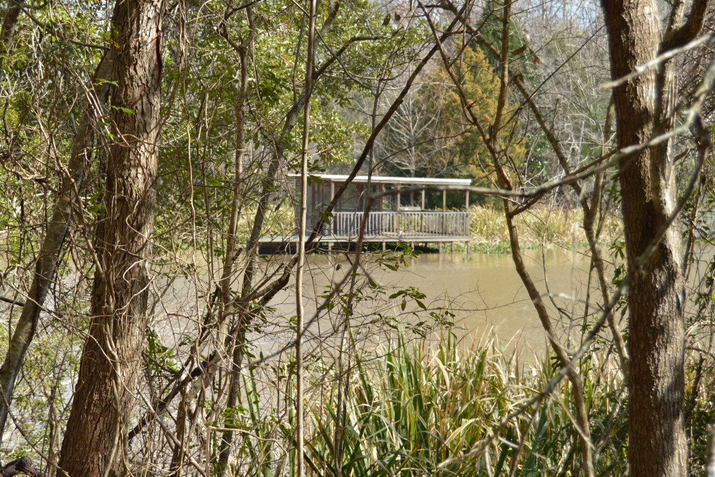 Lake Fausse Pointe-002